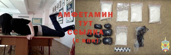 гашик Осинники