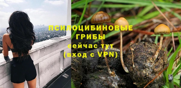 индика Нязепетровск