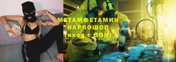 индика Нязепетровск
