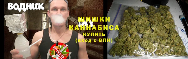 индика Нязепетровск