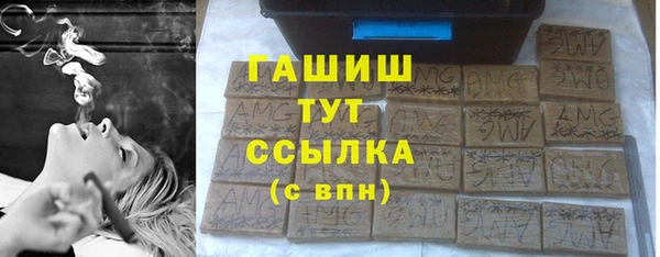 индика Нязепетровск