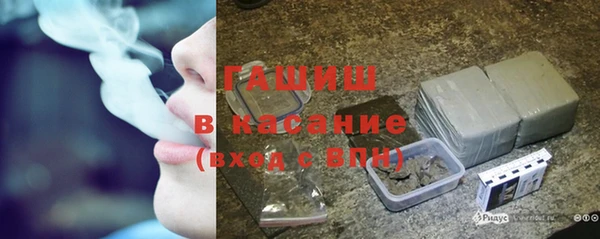 индика Нязепетровск