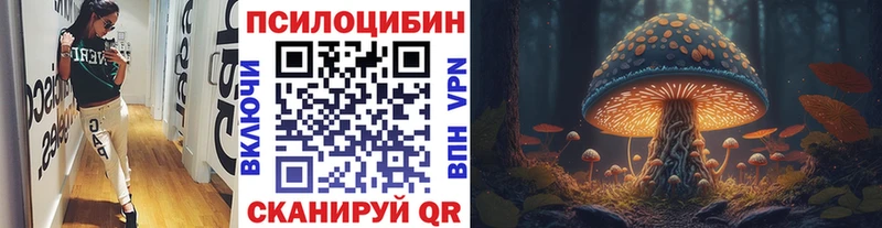 Купить закладки  Ипатово  Псилоцибиновые грибы Magic Shrooms 